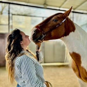 Visita guiada a la yeguada