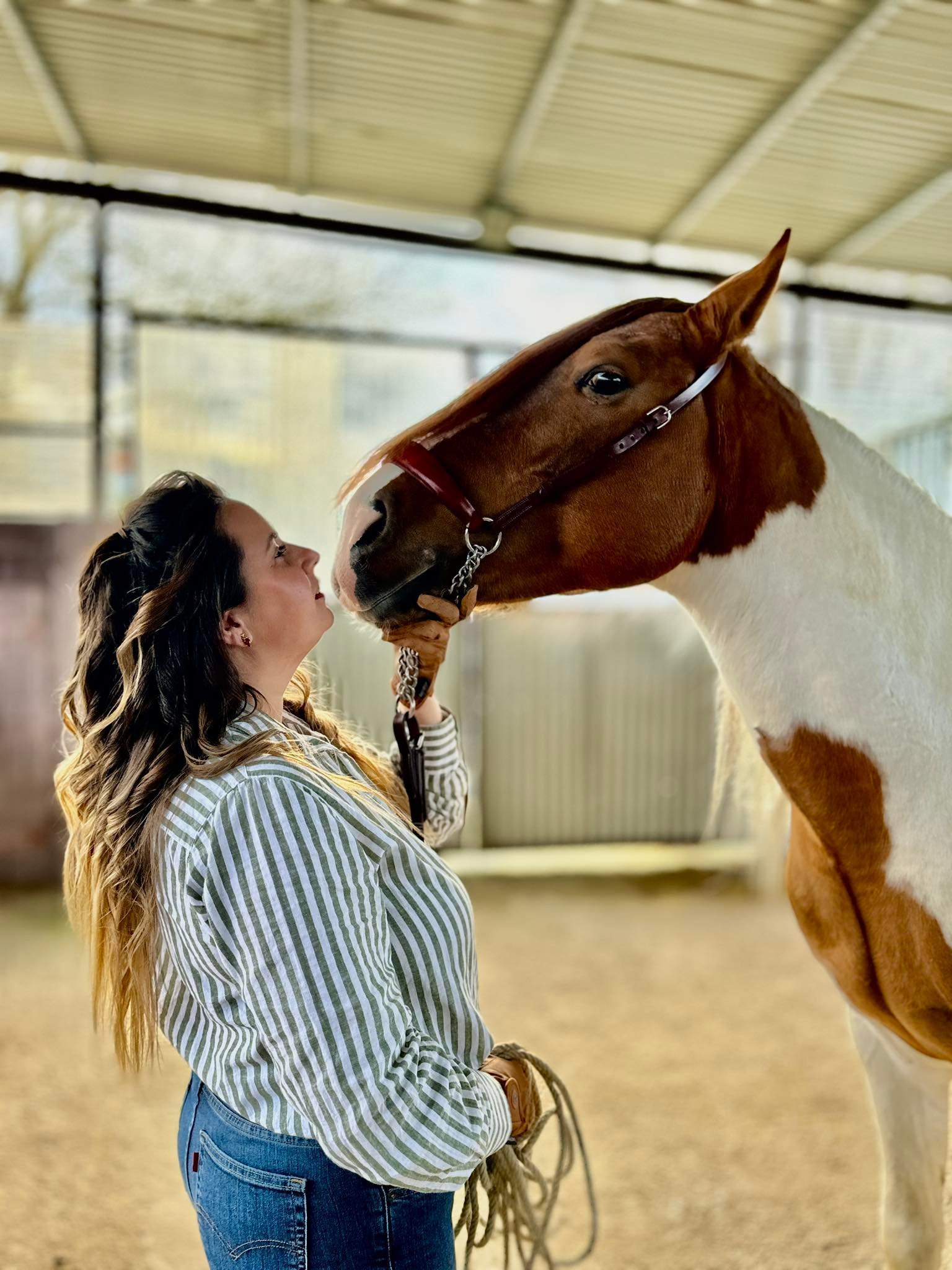 Visita guiada a la yeguada